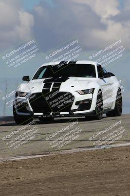 media/Mar-31-2024-Speed Ventures (Sun) [[a3b2bf813d]]/Purple/Session 2 (Grapevine)/